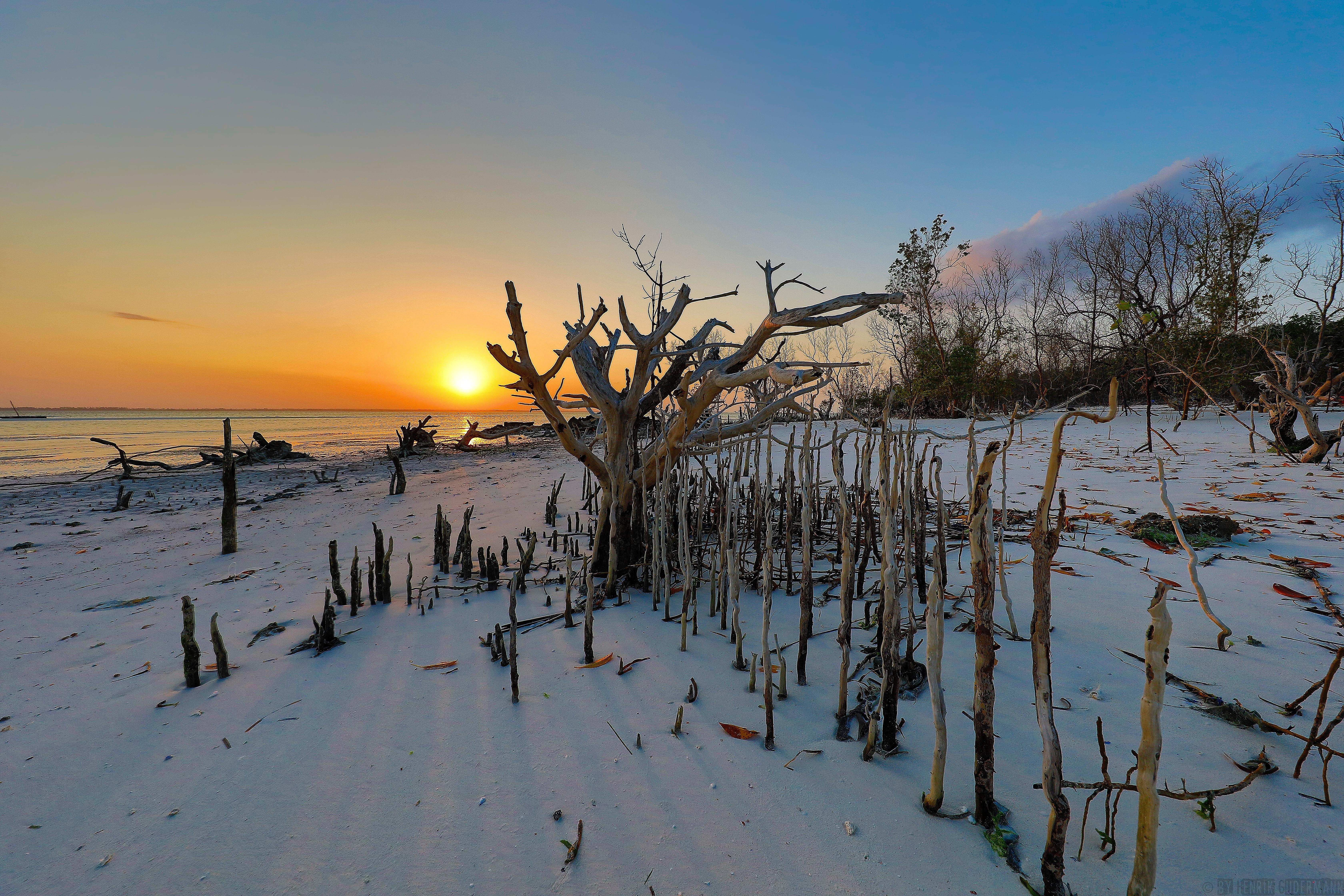 Готель Michamvi Sunset Bay Екстер'єр фото